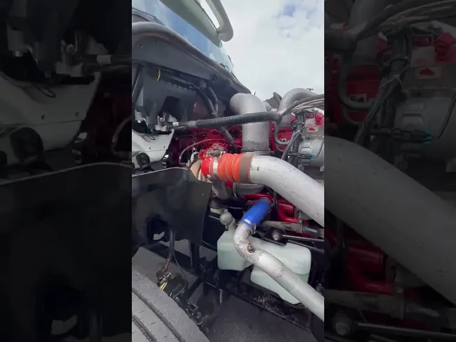 View Video