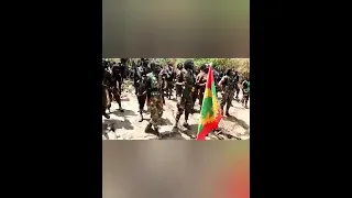 Sirba Haarawaa Cibraa Shanan Gibee Lammii Dhugumaa New Oromic Music 2021 