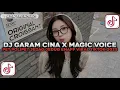 Lagu DJ PET POLIPET GARAM CINA X MAGIC VOICE JEDAG JEDUG STLYE ENAFF VIRAL TIKTOK TERBARU 2025 !!