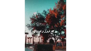 كل ما بقدر يوم انساك 
