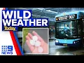 NSW hit with severe storms as wild weather continues 9 News Australia