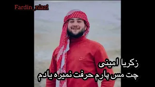 زکریا امینی  چت مس پارم حرفت نمیره یادم زل زدی به چشمام               دندنها