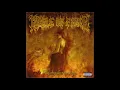 Download Lagu Cradle Of Filth - Nymphetamine (2004) (Full Album)