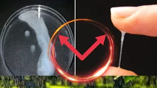 fassarar mafarkin janaba fitar maniyyi 