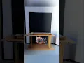 DIY hologram projector Just cardboard plastic and your phone
