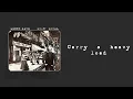 Lenny Kaye - The Things You Leave Behind (Lyric Video)