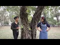 Download Lagu Aduhai kasino kw 😁😁😁😁