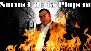 Download SORINEL DE LA PLOPENI -  AM FURAT UN PORTOFEL 2015 Nou Pt cei de la suferinta Rahova MP3