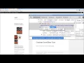 WordPress Custom Scrollbar Plugin Demo