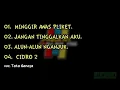 Download Lagu Minggir Awas Pliket💧 Full Album New Garaga🐍