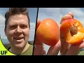 Raspberry Apricot Taste Test Unusual Foods