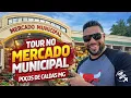 Pocos de Caldas MG Municipal Market Is it worth a visit