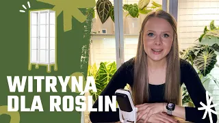 WITRYNA DLA ROSLIN Milsbo Ikea Jak przystosowac witryne do uprawy roslin porady