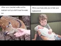 The Funniest Coworker Memes Ever