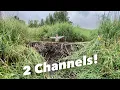 Download Lagu Beaver Dammed 2 Channels!