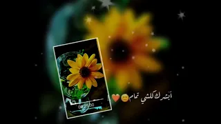 فقدتك وقلت اتصل بدون موسيقى حالات واتس دينيه 