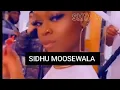 ATTACH || Sidhu Moose Wala || Fredo || Steel Banglez || New Punjabi Song 2024 || PBX Productions
