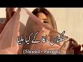 Lagu O Bewafa Soche Ta Ha (Slowed + Reverb)  سنگتاں مُکا کے کیا ملا - Sangtaan Muka Ke Kiya Milaye