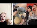 Cute Animals and Pets v25