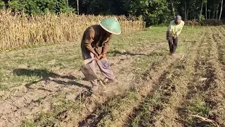 THIS BRILLIANT FARMING TOOL MAKES DIGGING SO MUCH EASIER! LIKE A PRO! - Agricultural Farming