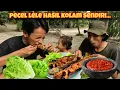 Download Lagu USE THE CATFISH IN YOUR OWN POND AND PROCESS IT INTO LAMONGAN'S SPECIAL CATFISH PECEL!!!