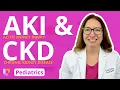 Acute Kidney Injury AKI Chronic Kidney Disease CKD - Pediatric Nursing LevelUpRN