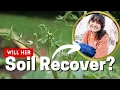 Grazon Contaminated Garden Soil How To Fix Pesticide Damaged Compost In Your Garden