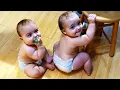 Download Lagu 1 Hours with Funny Baby Videos 2023 - World's Huge Funny Babies Videos Compilation