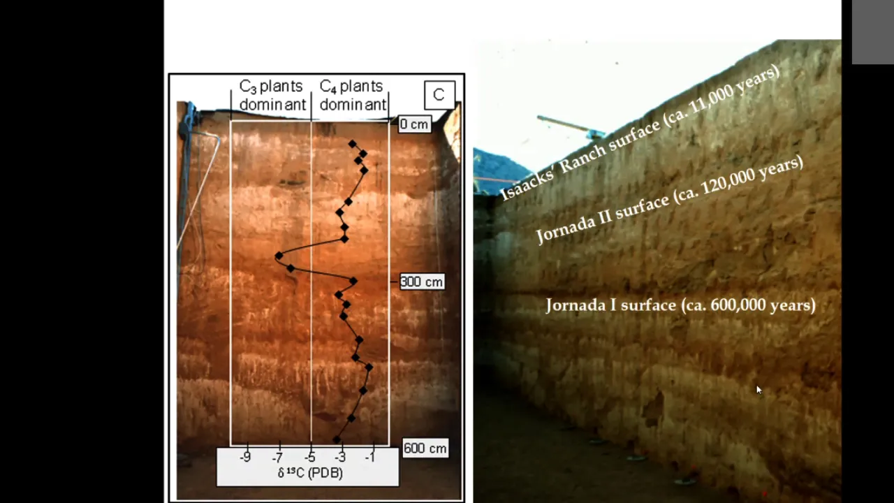Soil isotopic memory of C4 grasses