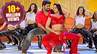 narasimhudu songs singu singu jr ntr sameera reddy
