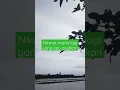 MANCING LIAR,,IKAN MUJAER,, MANCING UMPAN LUMUT DAPATNYA IKAN BOSO #shorts #shortvideo