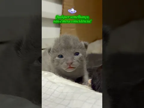 Não marquem a Nasa nesse vídeo, se não nosso Et Bilu pode ser capturado para ser estudado na Área 51