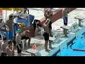 Campeonato Brasileiro Infantil de Inverno - Aracaju 2012