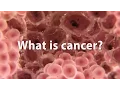 Download Lagu What is cancer? What causes cancer and how is it treated? *UPDATE*