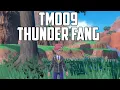 Lagu TM009 Thunder Fang | (All Methods + Recipe!) - Pokémon Scarlet \u0026 Violet