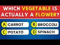 Test Your Knowledge with This 50-Question General Knowledge Quiz Trivia Time