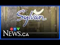 Owner of local Sylvan Learning Centres speaks