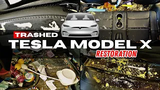 Trashed Tesla Model X Detailing Restoration | How Is This Possible?