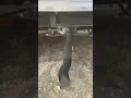 The Dump Bucket Off grid RV septic system