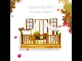 Balkon Sohbeti