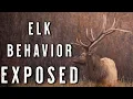 Download Lagu SEPTEMBER Elk Hunting PRESSURE | How Bulls Change Week by Week