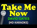Download Lagu TAKE ME NOW - David Gates (HD Karaoke)