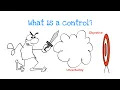 What is a control in risk management
