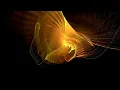 ABSTRACT FRACTAL TRANSFORMATION BACKGROUND UNIVERSE BACKGROUND Teacher Burnz