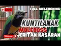 Download Lagu MASTERAN NGERET MENJERIT KASAR!! CUCAK CUNGKOK TEMBAKAN KASAR MEWAH - TEMBAKAN KUNTILANAK
