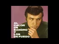 Música de Rock And Roll (Rock And Roll Music) - Sandro y Los de Fuego