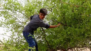 Ye Kya Ho Gya Pihu Ke Sath 😨