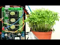 Raspberry Pi Plant Watering Time Lapse