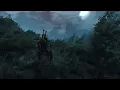 Aen Seidhe (1 Hour) - Witcher 3