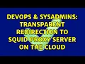 DevOps SysAdmins Transparent redirection to squid proxy server on the cloud 2 Solutions